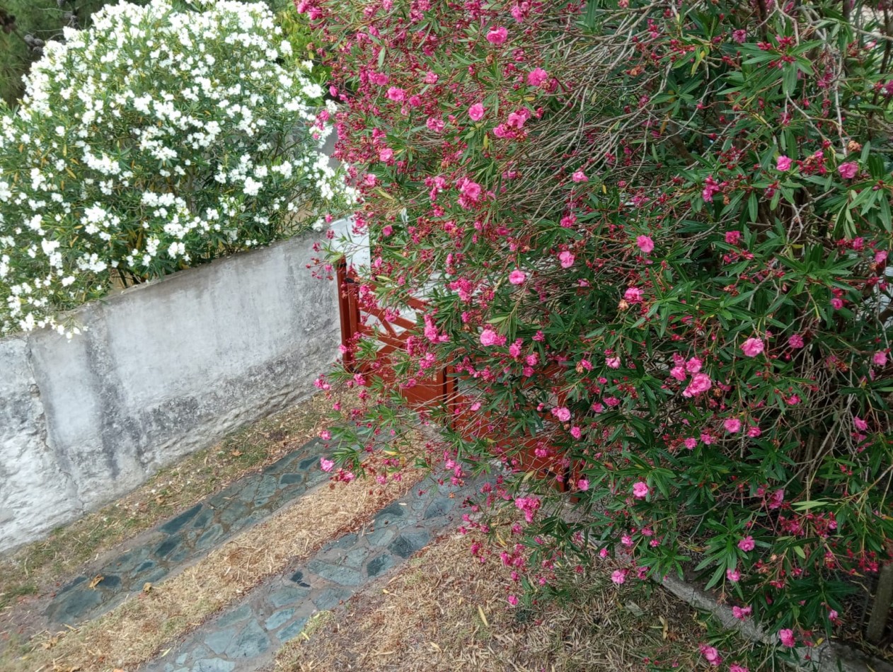 DUPLEX EN VENTA PARA RECICLAR
