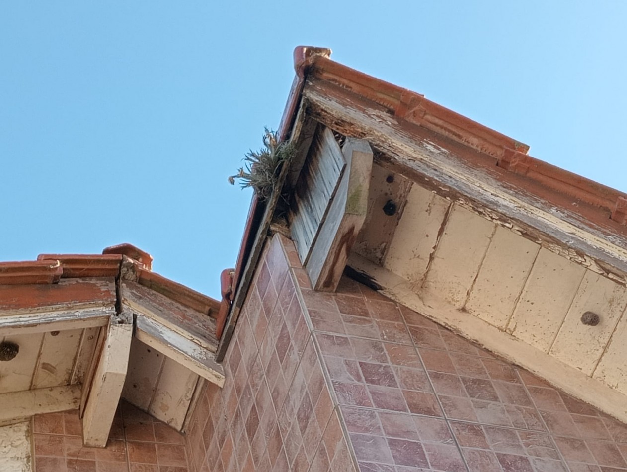 DUPLEX EN VENTA PARA RECICLAR