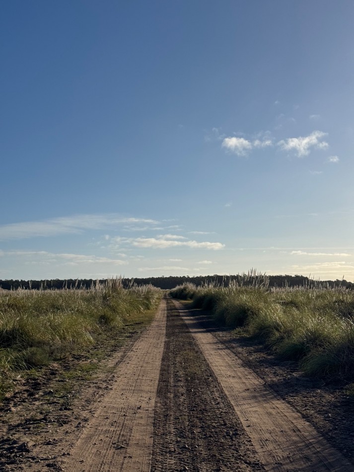 Campo Querandi