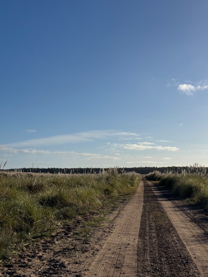 Campo Querandi