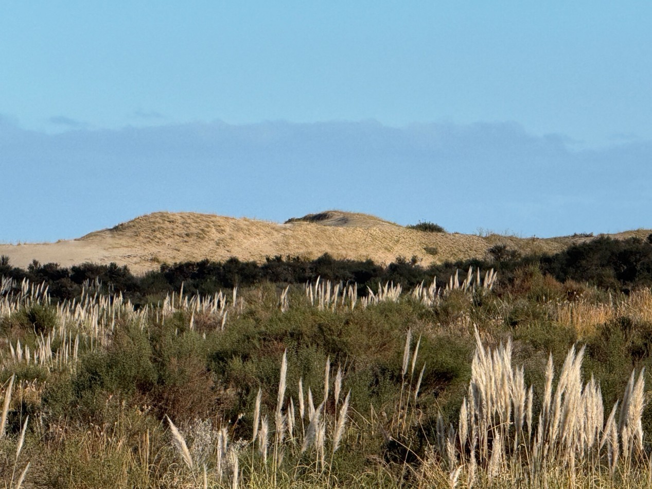 Campo Querandi