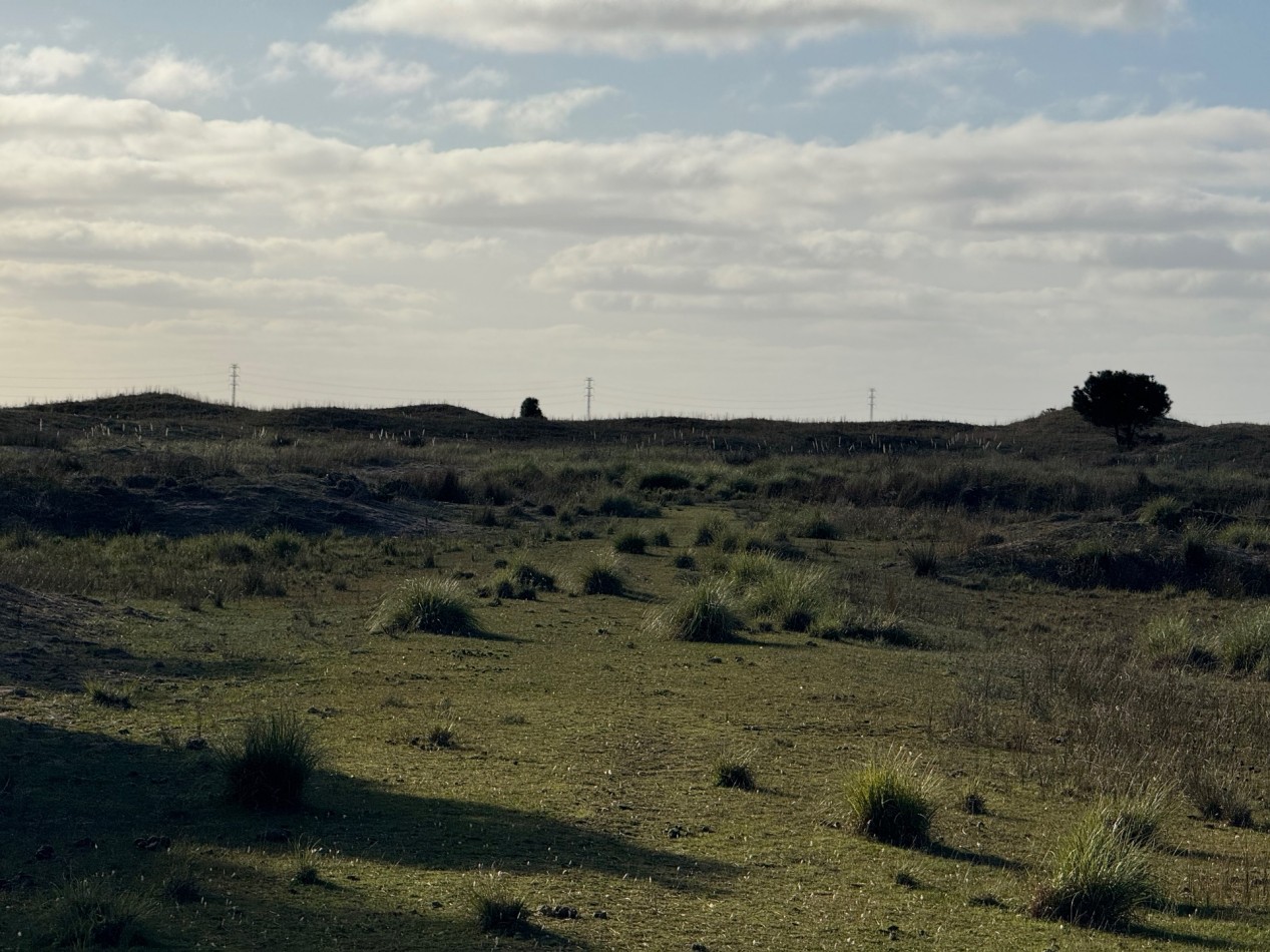 Campo Querandi