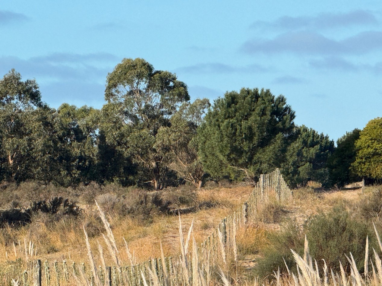 Campo Querandi