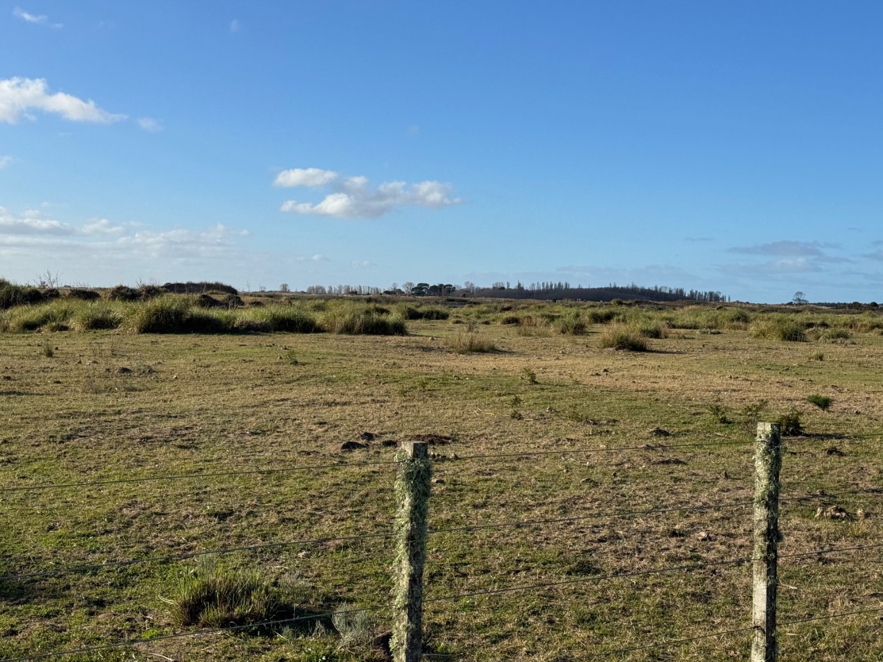 Campo Querandi