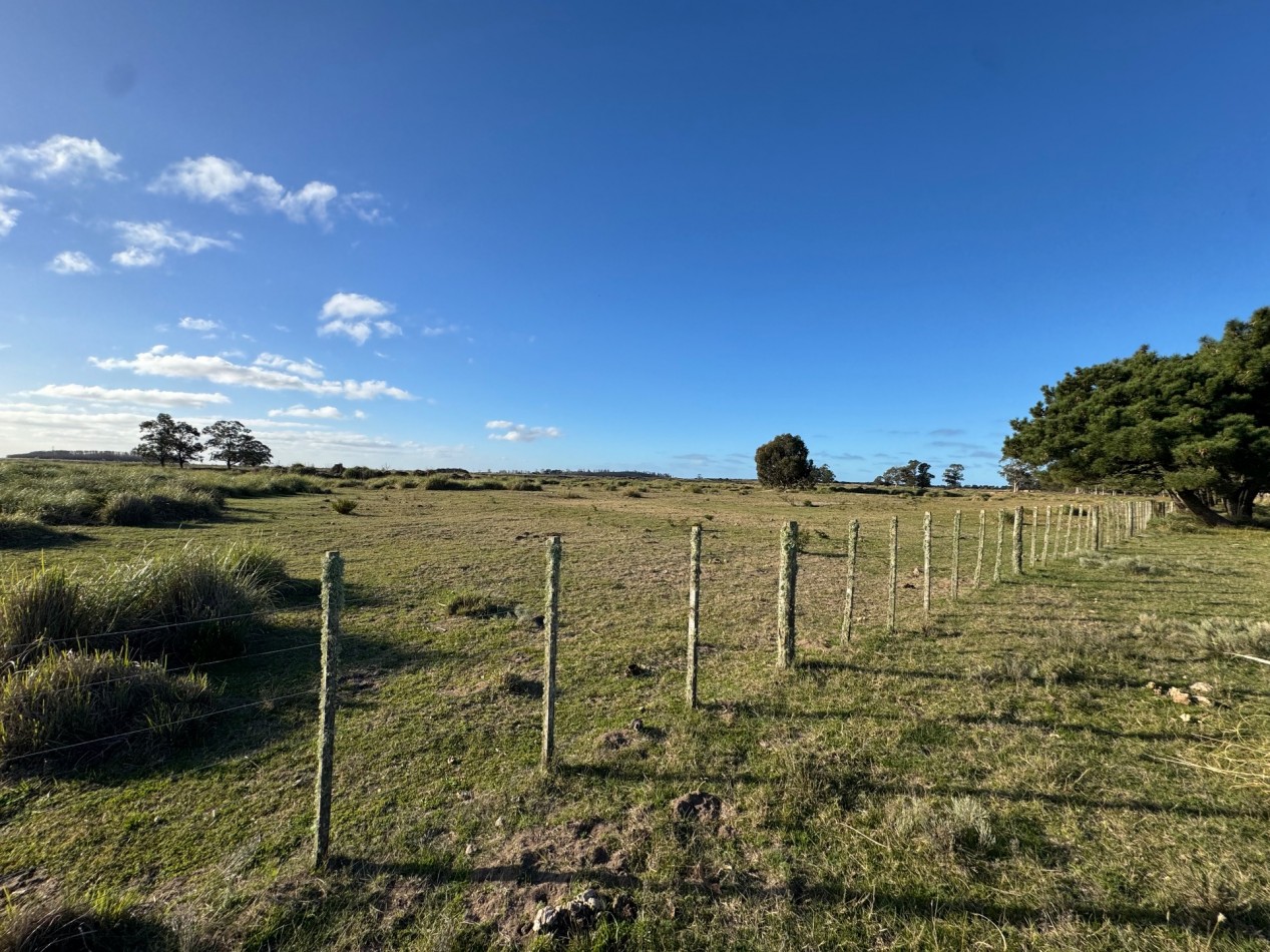 Campo Querandi