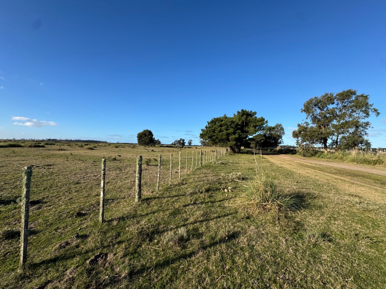 Campo Querandi