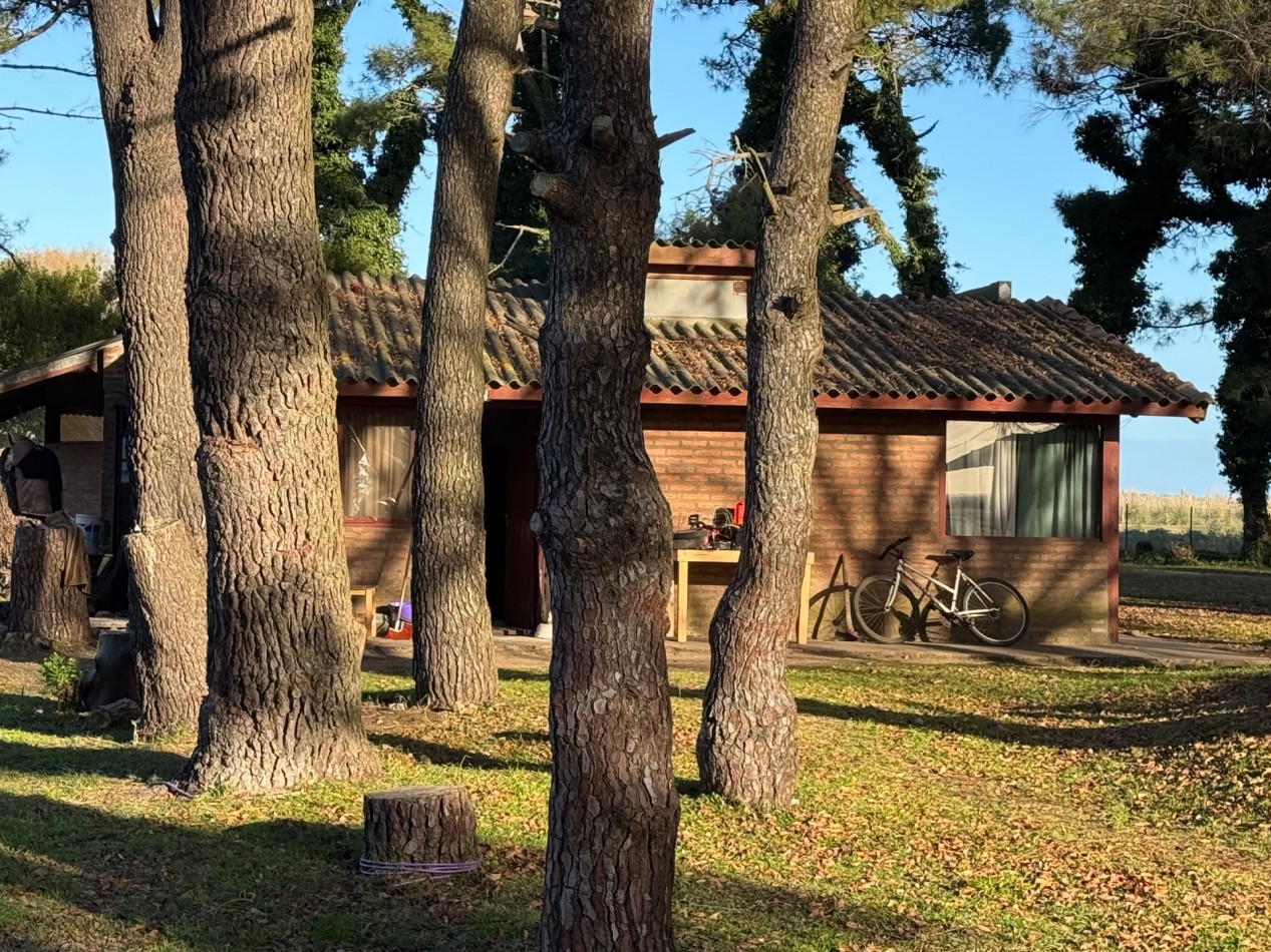 Campo Querandi