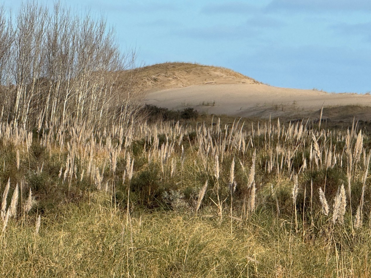 Campo Querandi