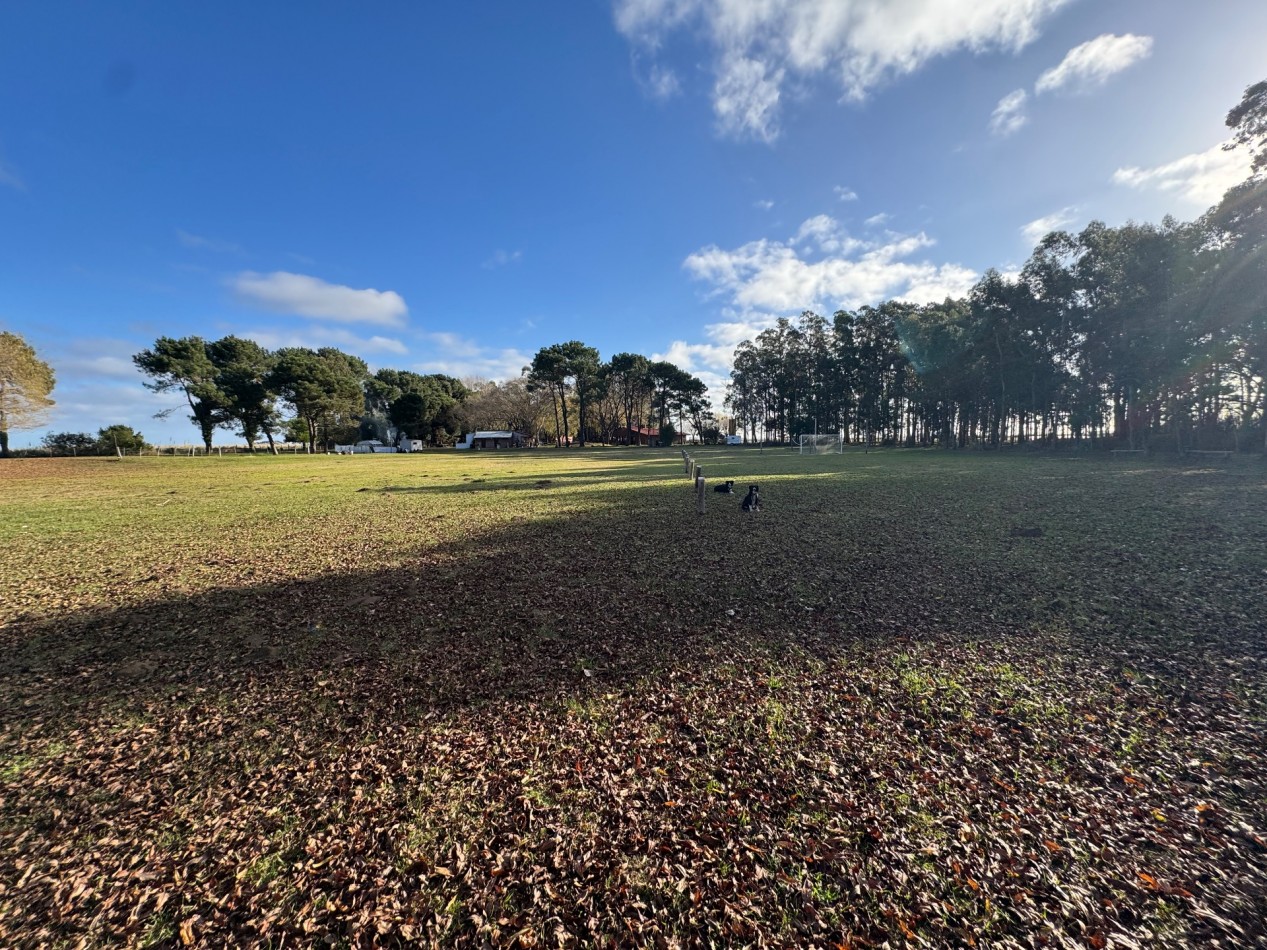 Campo Querandi
