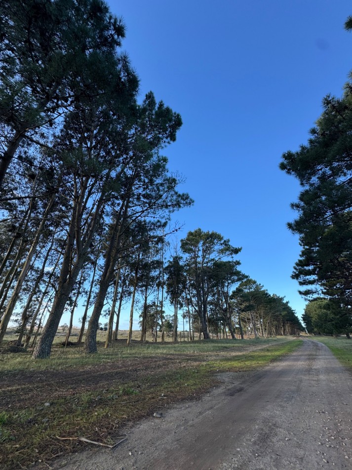 Campo Querandi