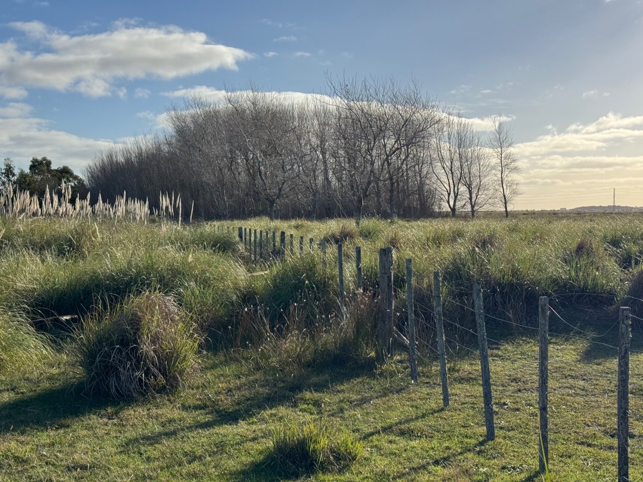 Campo Querandi