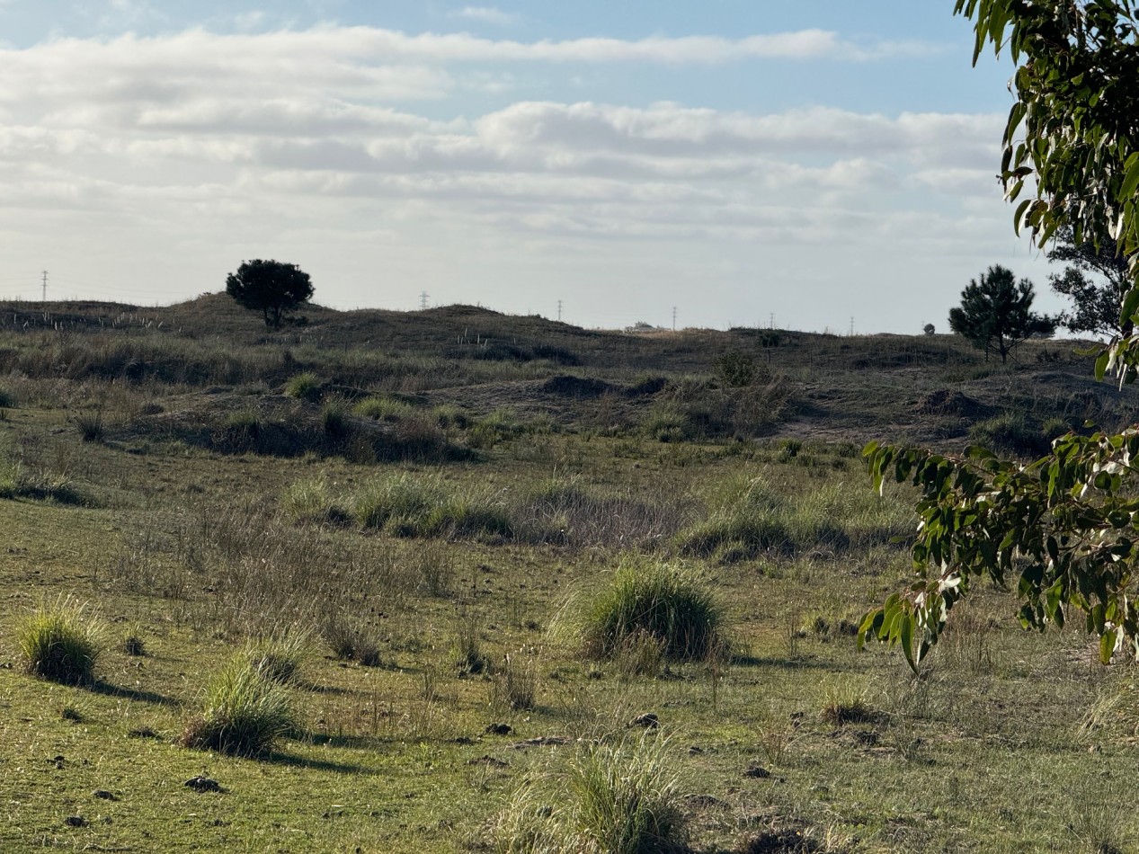 Campo Querandi