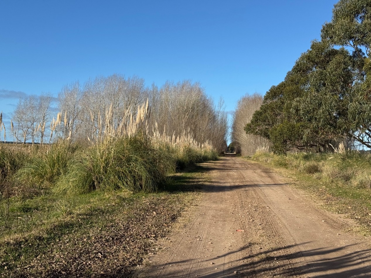 Campo Querandi