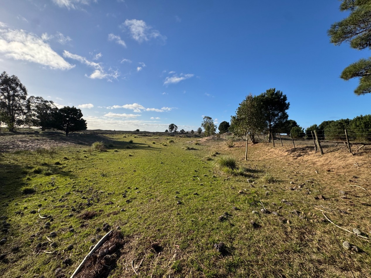 Campo Querandi