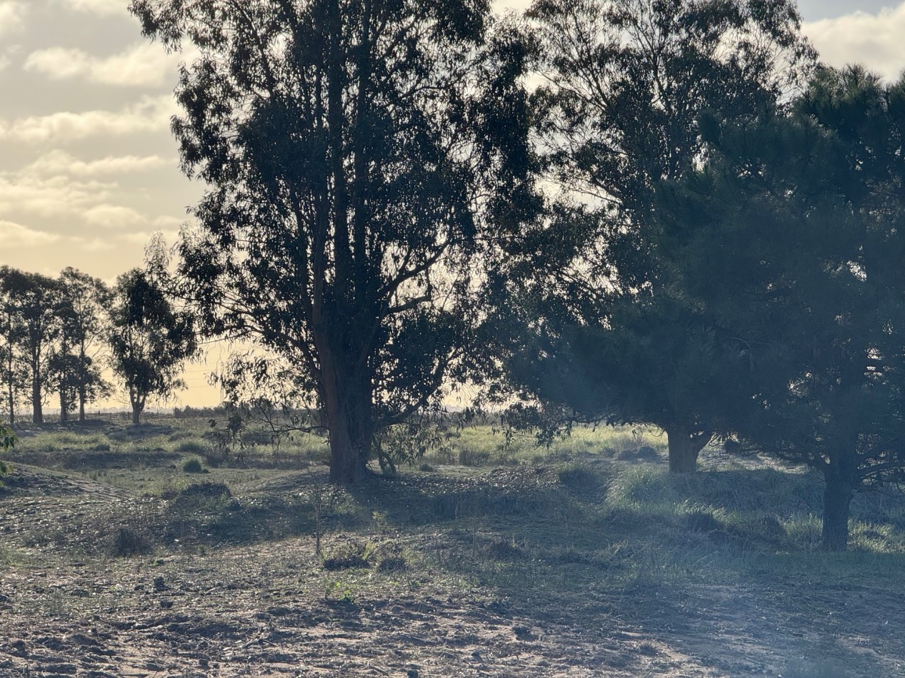 Campo Querandi