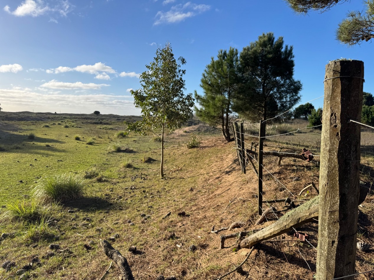 Campo Querandi