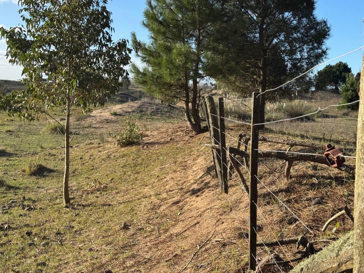 Campo Querandi