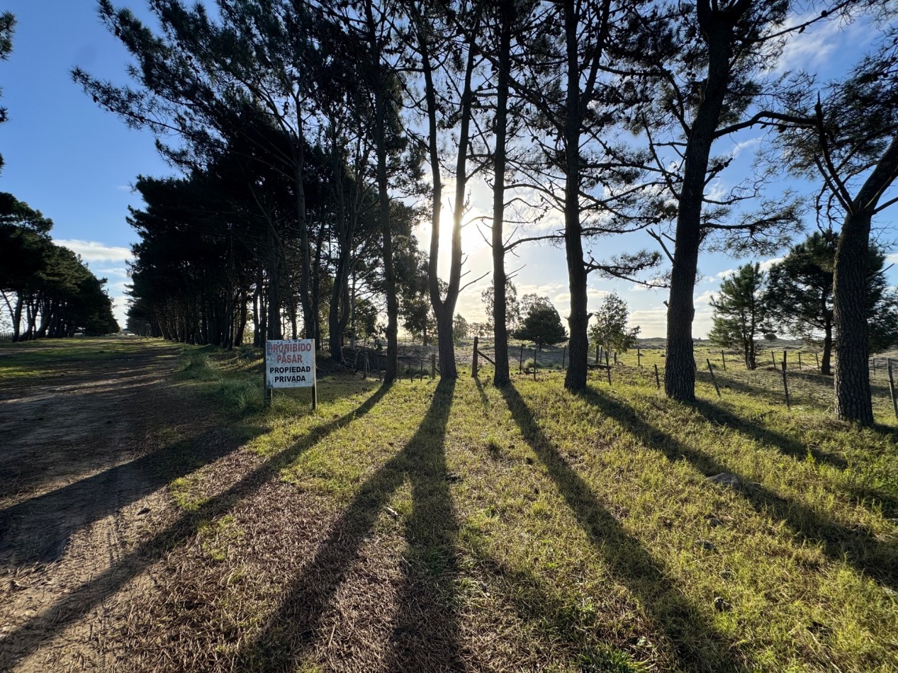 Campo Querandi