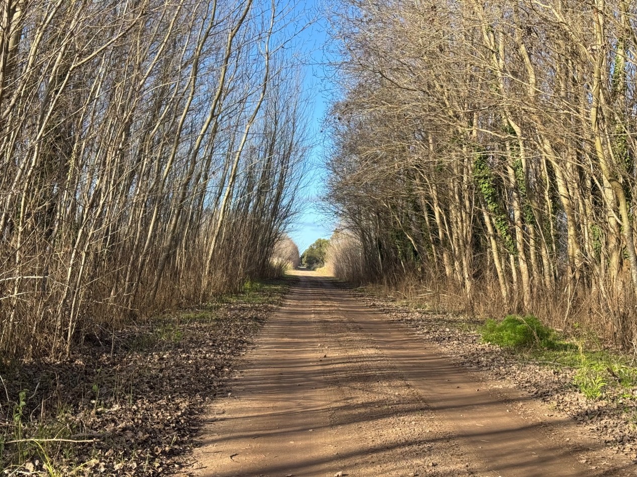 Campo Querandi