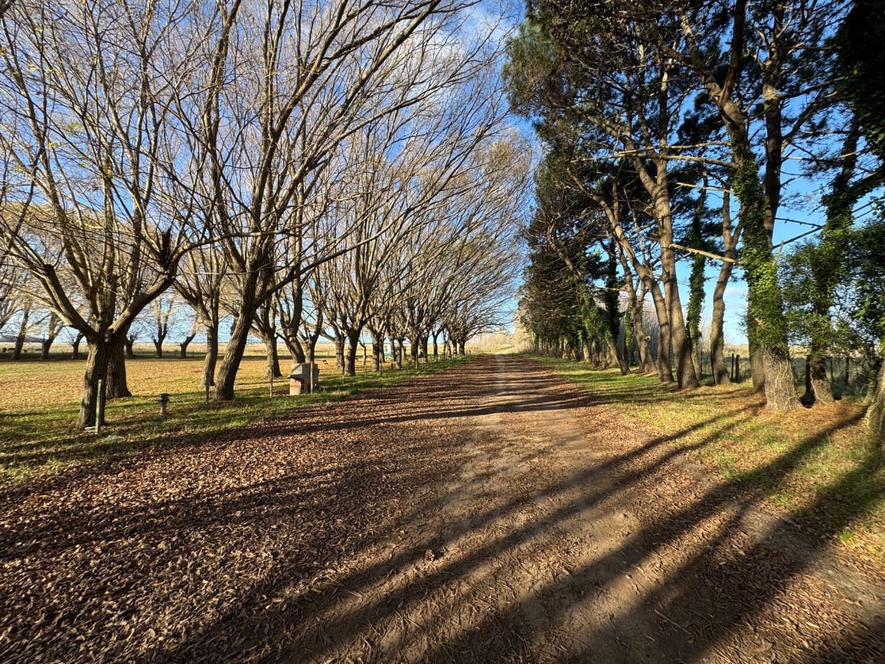 Campo Querandi