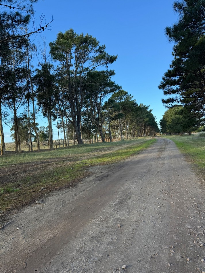 Campo Querandi