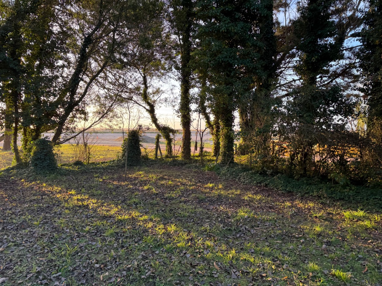 Campo Querandi