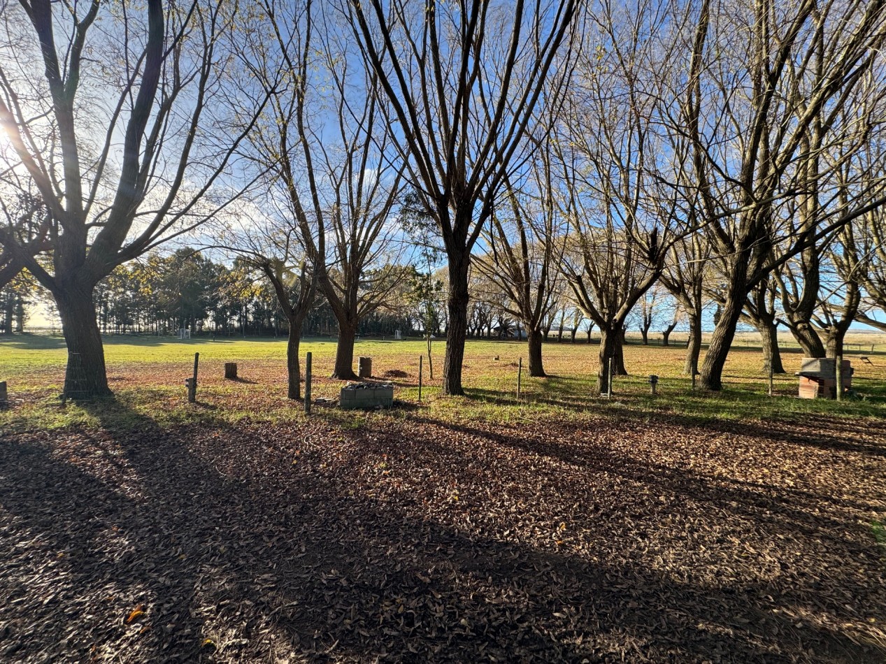 Campo Querandi