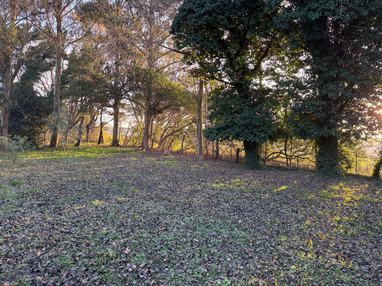 Campo Querandi