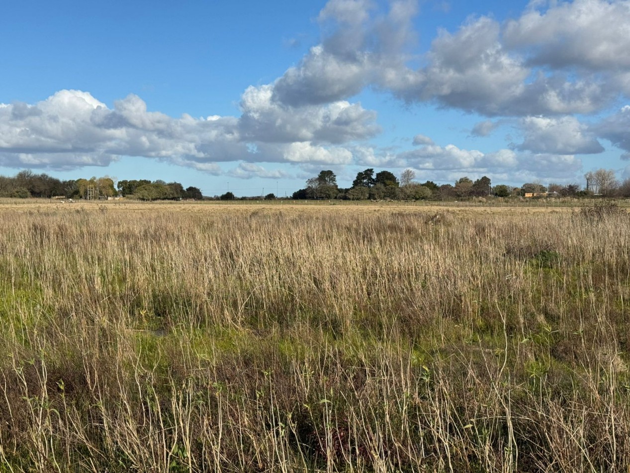 Fraccion a la venta