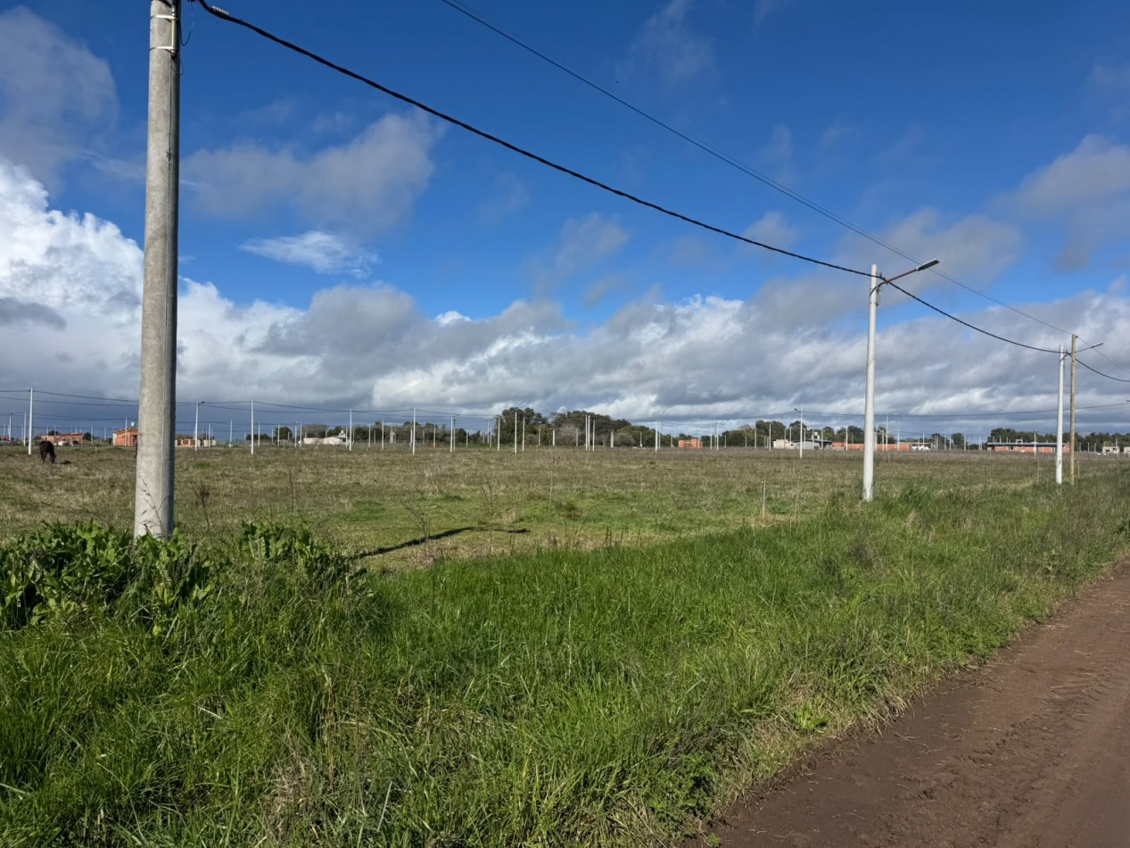 LOTES EN VENTA GRAL MADARIAGA 