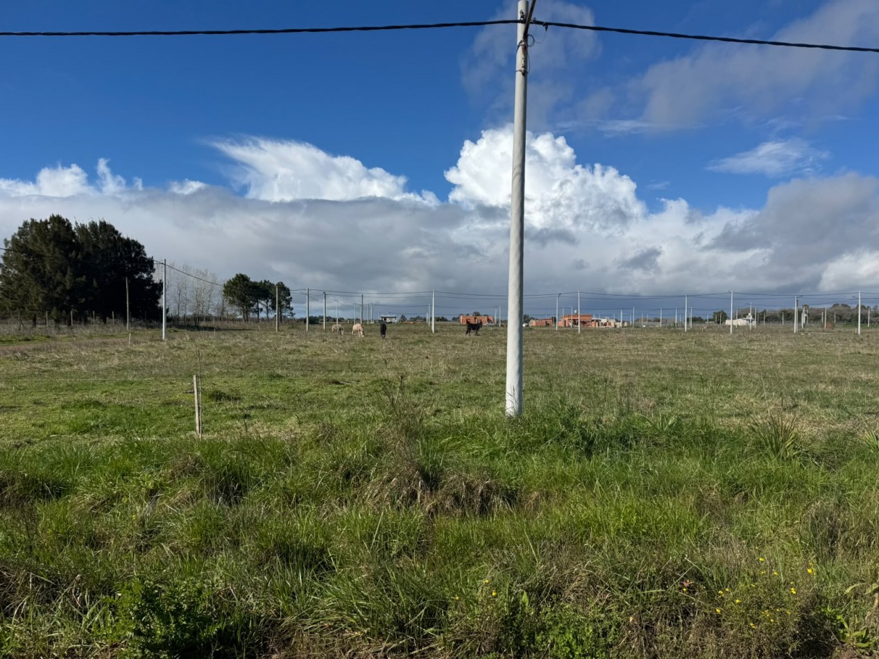 LOTES EN VENTA GRAL MADARIAGA 