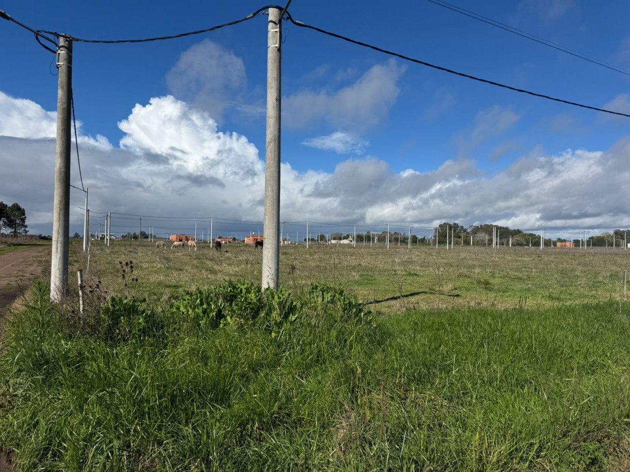 LOTES EN VENTA GRAL MADARIAGA 