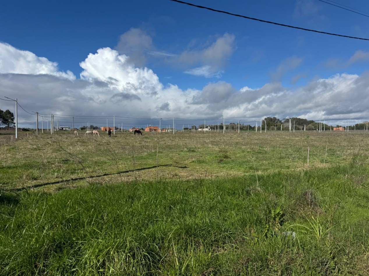 LOTES EN VENTA GRAL MADARIAGA 
