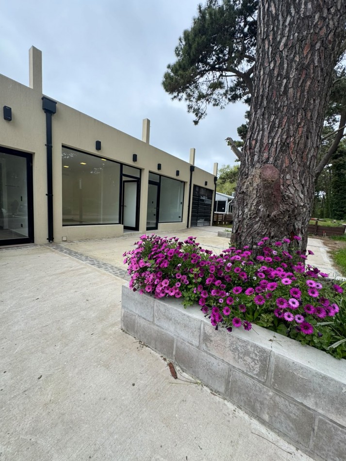 LOCAL COMERCIAL EN ALQUILER
