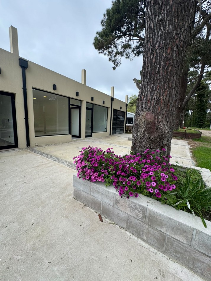 LOCAL COMERCIAL EN ALQUILER