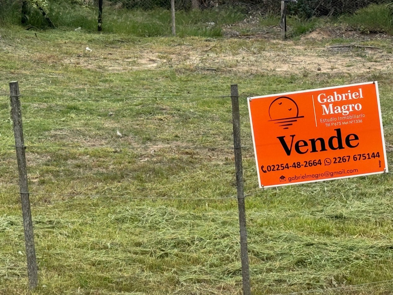 LOTE CORBETA JULIETA