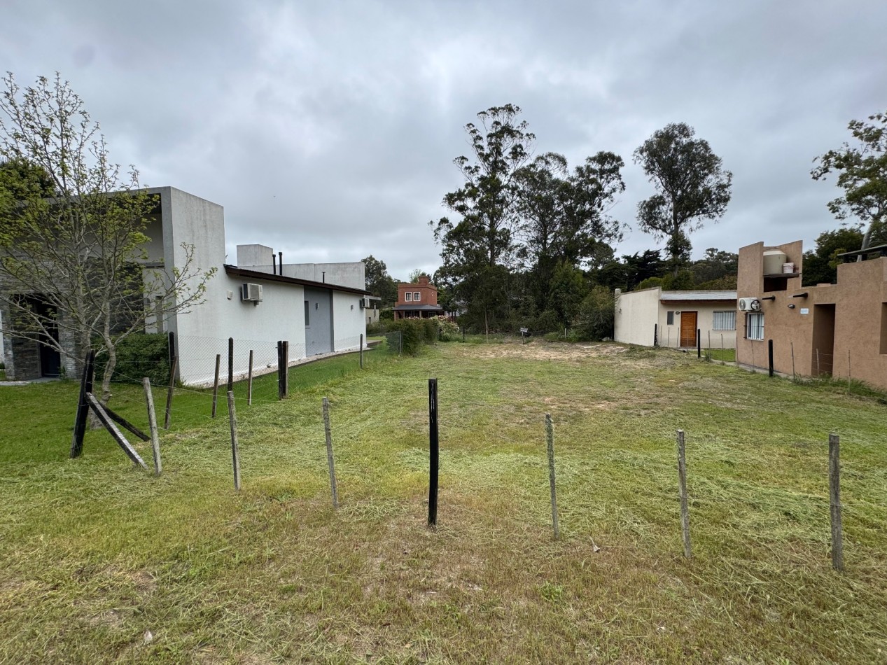 LOTE CORBETA JULIETA