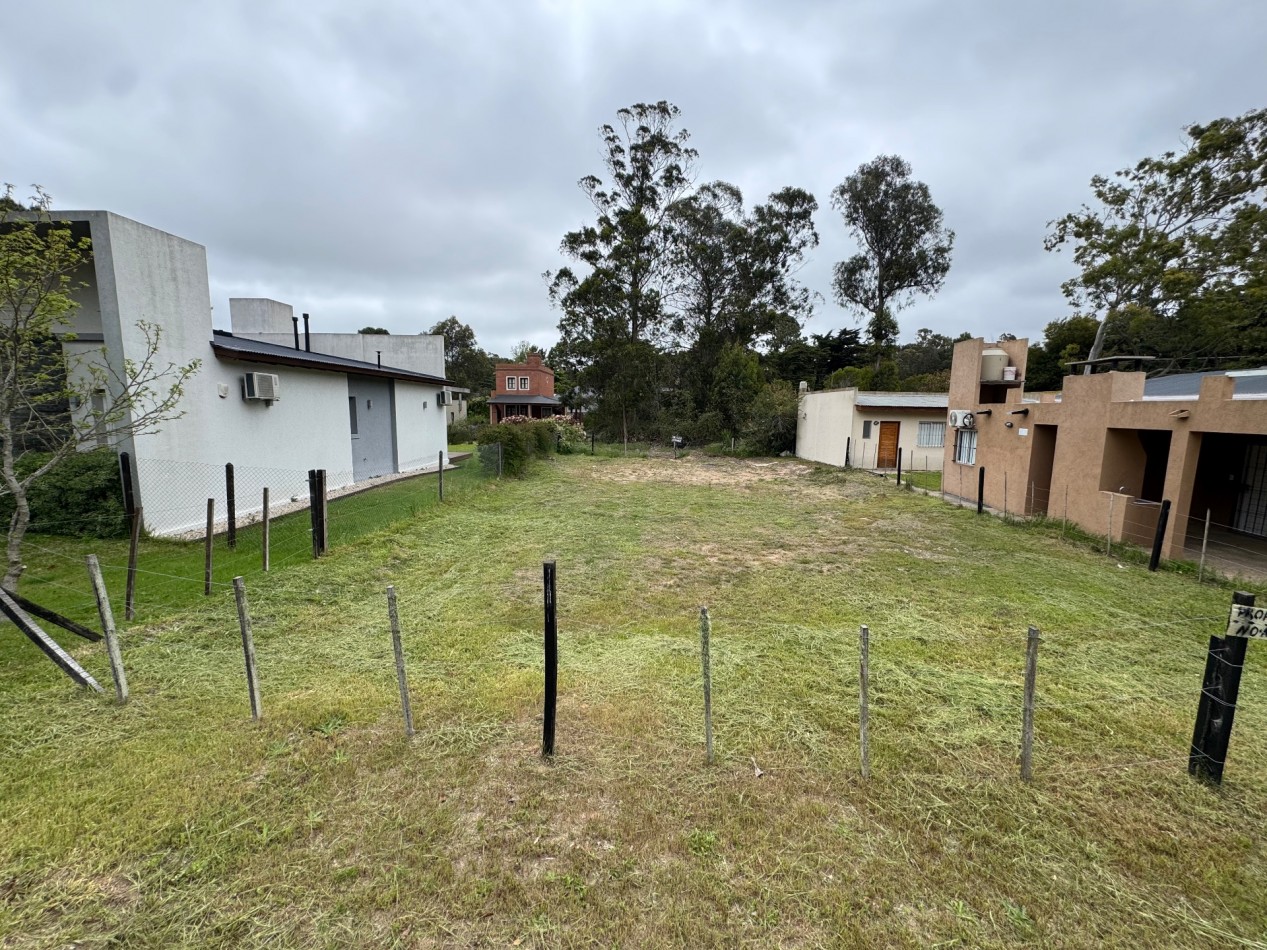 LOTE CORBETA JULIETA