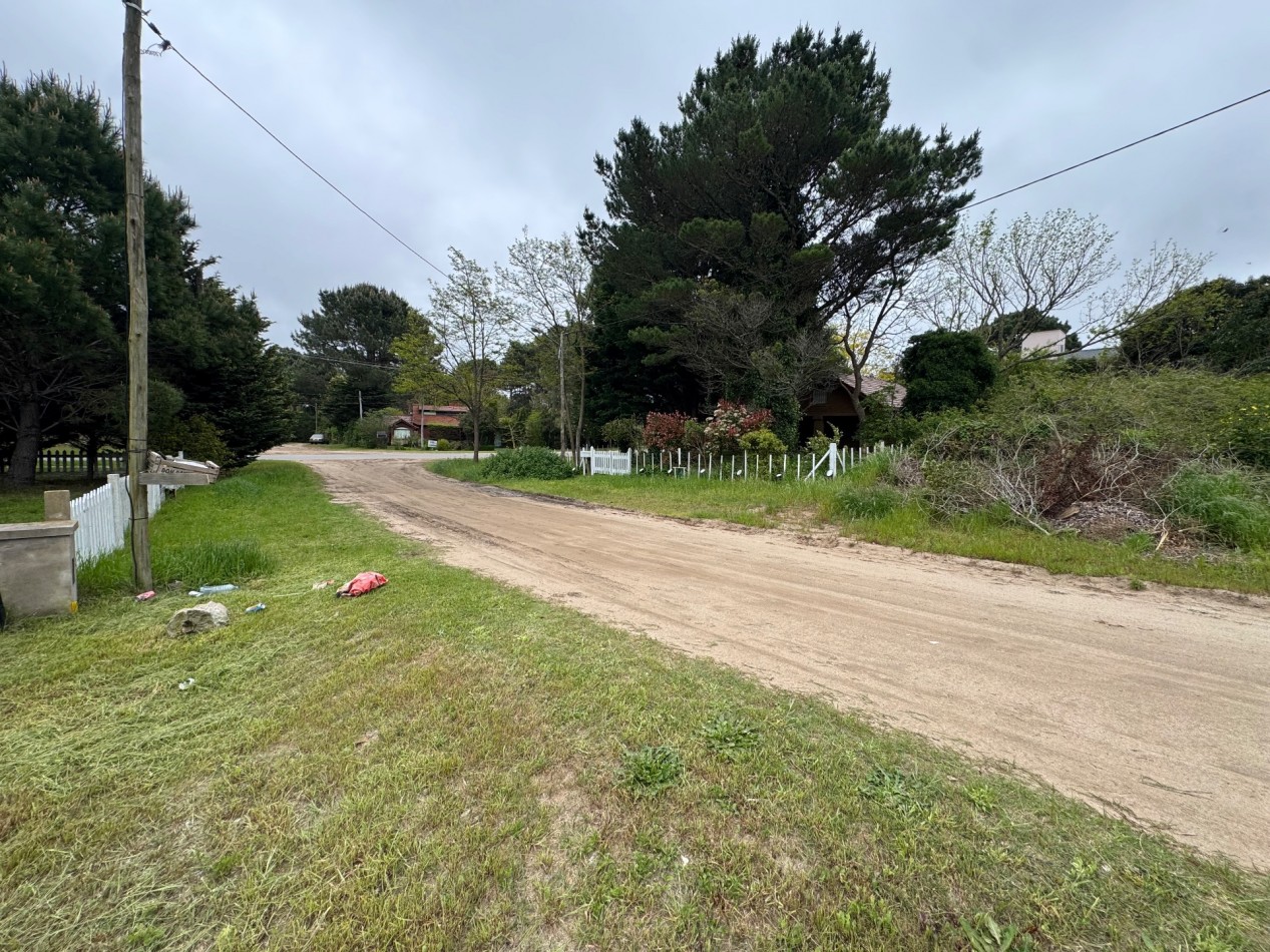 LOTE CORBETA JULIETA