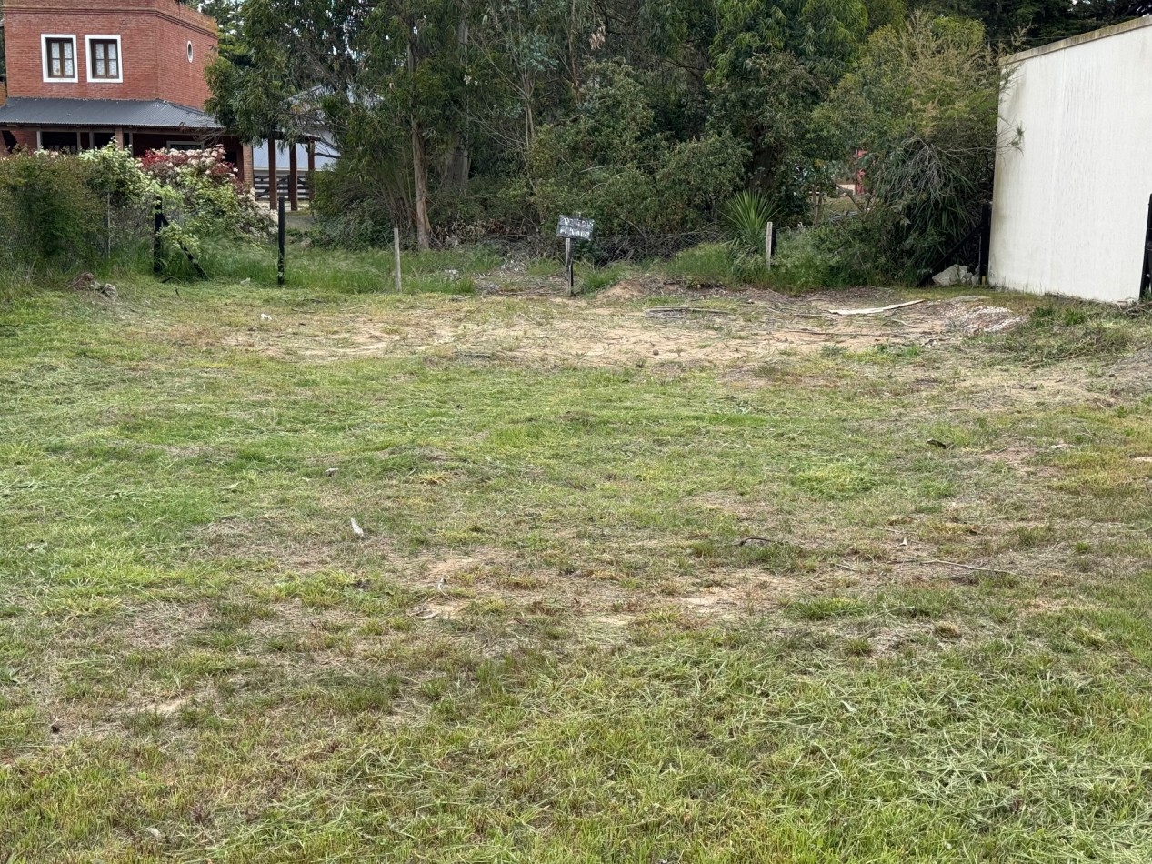 LOTE CORBETA JULIETA