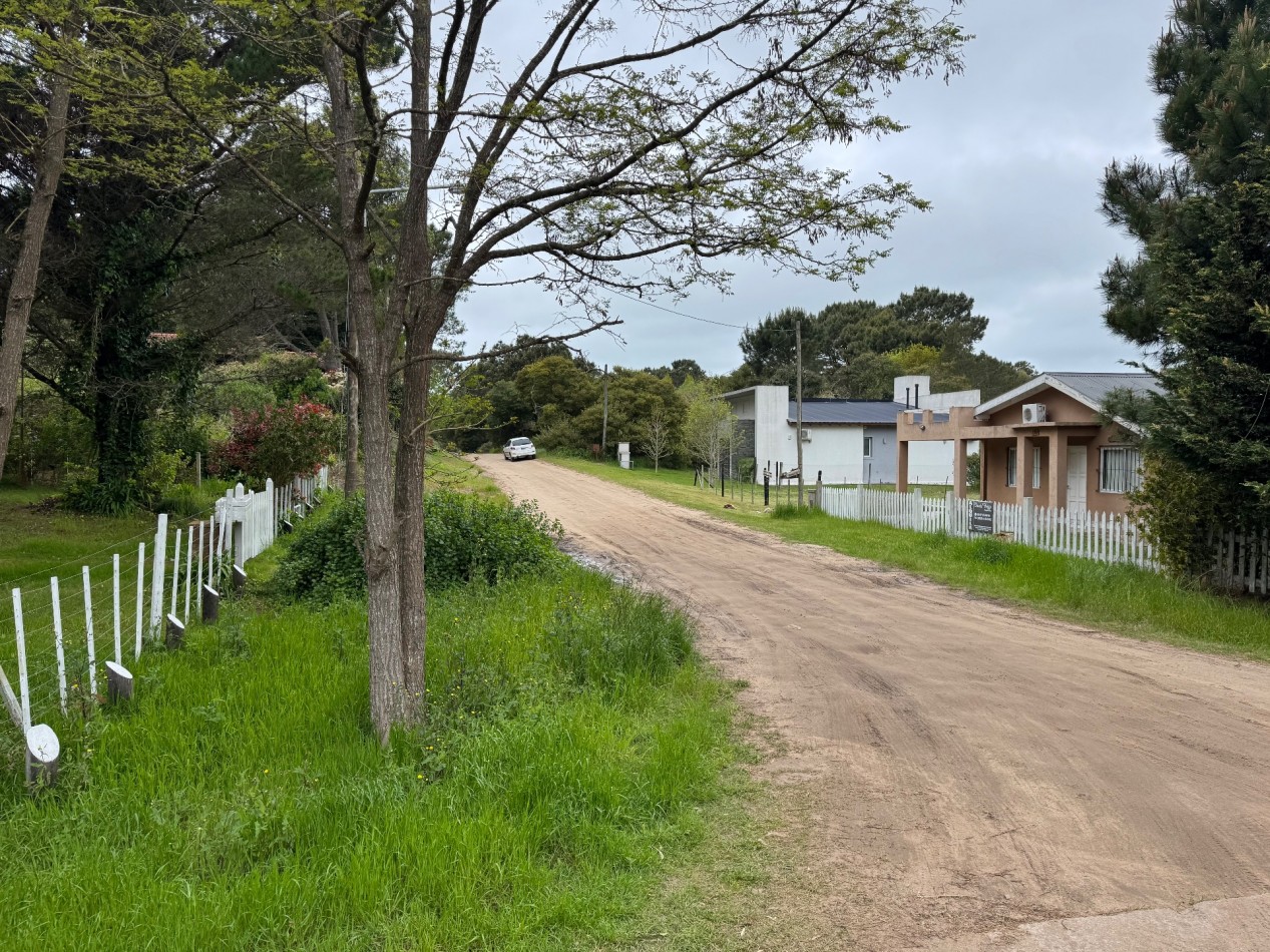 LOTE CORBETA JULIETA