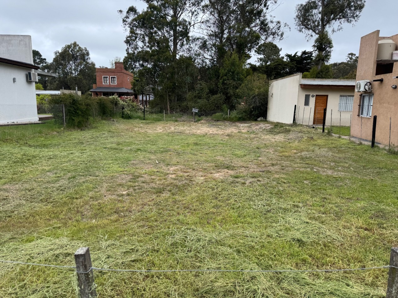 LOTE CORBETA JULIETA