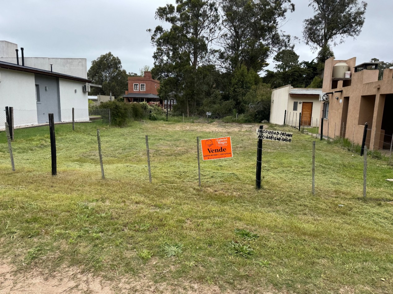 LOTE CORBETA JULIETA